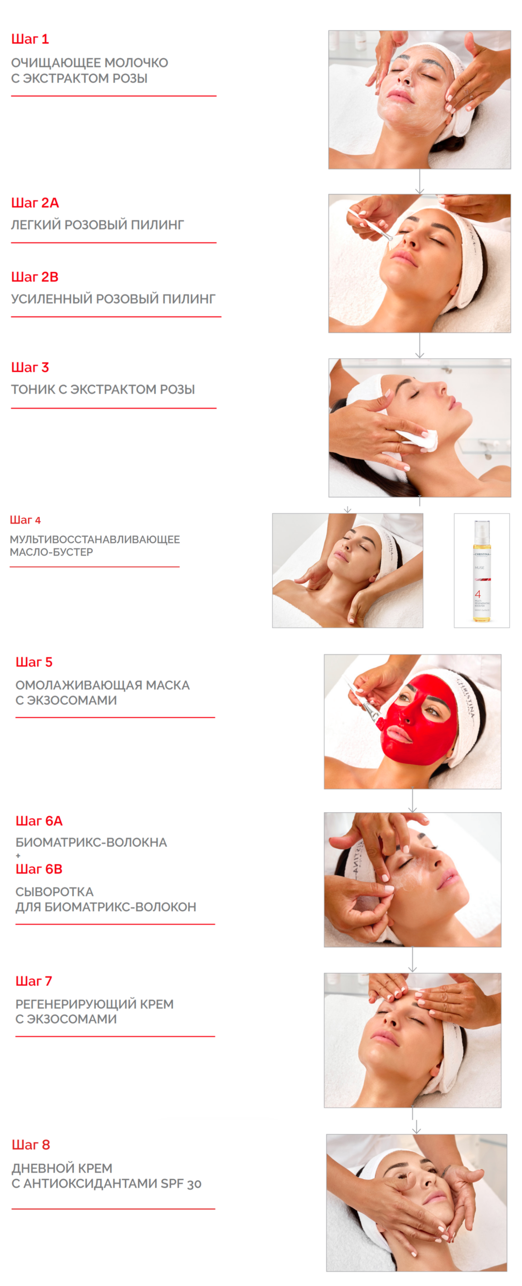 MUSE_procedure_full_strip